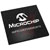 Microchip Technology Inc. - DSPIC33EP256MU810T-I/BG - XBGA-121 10X10X1.20 15 DMA 2XCAN USB 60 MHz 28KB RAM 256KB Flash 100-Pins|70047817 | ChuangWei Electronics