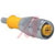 TURCK - RKV 4.5T-5 - PVC 5 meters 5cond. M12 Female to Cut-end; Gray Cordset|70035239 | ChuangWei Electronics