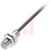 Balluff - BES00CY - 2m PUR cable NPN/NC Flush 2mm M12 Inductive Sensor|70376024 | ChuangWei Electronics