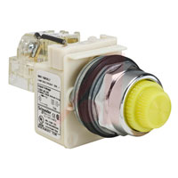 Schneider Electric 9001KT38LYY31