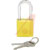 Panduit - PSL-7YL-LS - Shackle .25D 3.0H .79W Yellow Anodized Aluminum Body 1.60H 1.50W PadLock|70386713 | ChuangWei Electronics